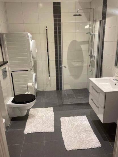Nyrenoverad Lagenhet Ahus Bagian luar foto